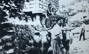 Foto antigua casa raul de lires