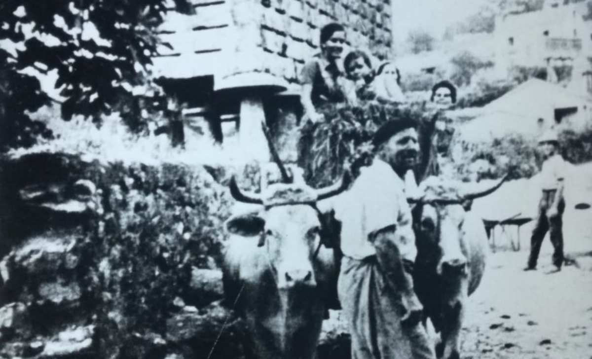 Foto antigua casa raul de lires